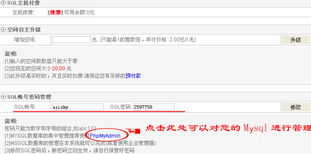 星輝互聯 深耕域名與云服務，賦能企業數字化轉型