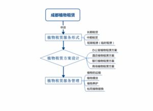 植物租賃的服務流程詳解 輕松開啟您的綠化之旅，享受專業的租賃服務